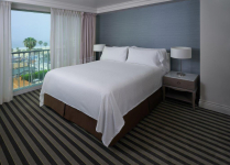 Golden Coral Top Sheet White