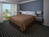 Golden Wave Khaki Gold Top Sheets