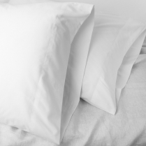Golden Sateena Pillowcases Solid White