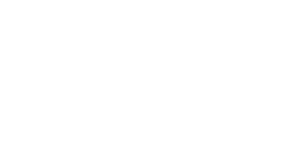 PAYA logo