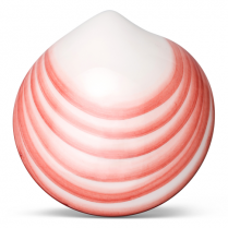 Thermabliss Massage Shells
