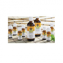 Lotus Touch Essential Oil
