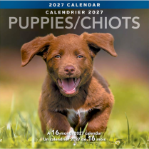 Mead&reg; Monthy Wall Calendars 12" x 12" Bilingual Puppies