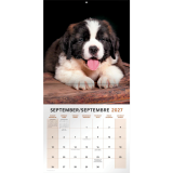 Mead&reg; Monthy Wall Calendars 12" x 12" Bilingual Puppies