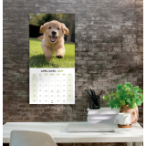 Mead&reg; Monthy Wall Calendars 12" x 12" Bilingual Puppies