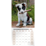 Mead&reg; Monthy Wall Calendars 12" x 12" Bilingual Puppies
