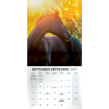 Mead&reg; Monthy Wall Calendars 12" x 12" Bilingual Horses