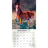Mead&reg; Monthy Wall Calendars 12" x 12" Bilingual Horses