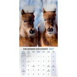 Mead&reg; Monthy Wall Calendars 12" x 12" Bilingual Horses