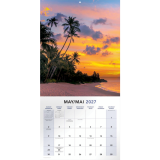 Mead&reg; Monthy Wall Calendars 12" x 12" Bilingual Paradise