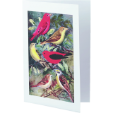 Avery&reg; Half-Fold Greeting Cards 8-1/2"x5-1/2" White 20 sets/box