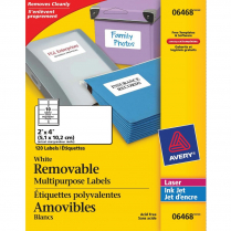 Avery&reg; Multipurpose Labels Removable 2"x4" 120/pkg