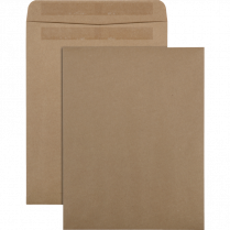 Basics&reg; Catalogue Envelopes Natural Kraft 11-1/2"x14-1/2" 100/pkg