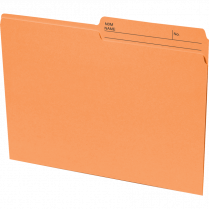 Basics&reg; Coloured Reversible File Folders Letter Orange 100/box
