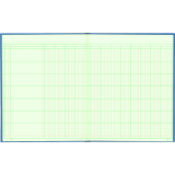 Blueline&reg; A1740 Columnar Book 12-1/4"x9-7/8" 12-column
