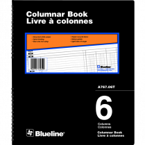 Blueline&reg; A767 Columnar Book 12"x10" 6-column