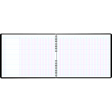 Blueline&reg; A769 Columnar Book 12"x14-15/16" 30-column