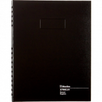 Blueline&reg; AccountPro&trade; Account Book 10-1/4"x7-7/8"