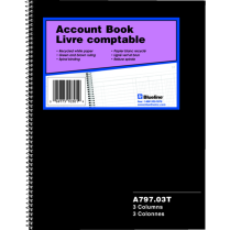 Blueline&reg; A797 Series Account Book 3 Column 100 pages 10-1/4"x7-7/8"