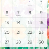 Blueline&reg; Colourful Monthly Wall Calendar 11" x 8" Bilingual Hibiscus Design