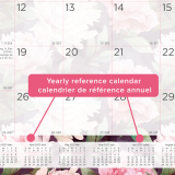 Blueline&reg; Pink Daisy Monthly Desk Pad 22"x17" Bilingual