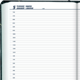 Blueline&reg; Traditional Daily Diary Hard Cover Bilingual 13-3/8"x8" Green