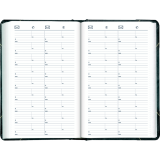 Blueline&reg; Traditional Daily Diary Hard Cover Bilingual 13-3/8"x8" Green