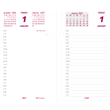 Brownline&reg; Jumbo Calendar Pad Refill Daily 6"x3-1/2" English
