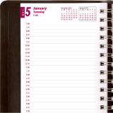 Brownline&reg; Essential PlannerPlus Daily Diary Twin Wire Soft Cover 5"x8" English Black