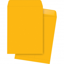 Business Source Catalogue Envelopes Kraft 9"x12" 250/box