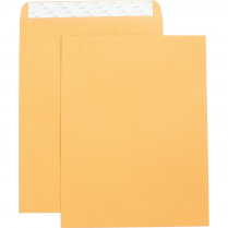 Business Source Self-Adhesive Catalogue Envelopes Kraft 10"x13" 250/box