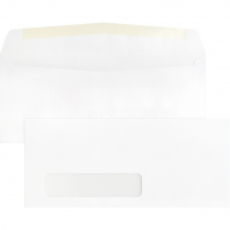 Business Source #10 Window Envelopes 500/box