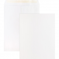 Business Source Self-Sealing Catalogue Envelopes White 10"x13" 100/box