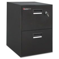 Sentry Fire-Safe 2 Drawer Letter/Legal Cabinet Black