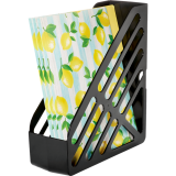 Deflecto&reg; Antimicrobial Magazine File Black