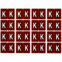 Pendaflex&reg; Labels K Brown 240/pkg