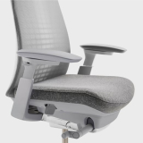 Haworth Fern Silvery Leaf Office Chair Grey Mesh Back w/Lumbar Support