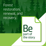 HP Premium32 Laser Paper 100B 32lb 8-1/2"x11" 500/pkg