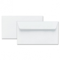 Hilroy Press-it Seal-it&reg; Envelopes #8 Security 55/box