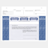 Share Certificates Blue Letter 8-1/2"x11" 25/pkg