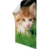 Command&trade; Adhesive Poster Strips 12/pkg