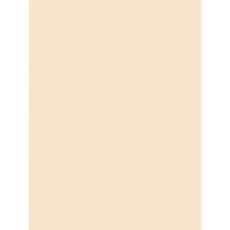 Manila Tag 18"x24" 300M 100/pkg