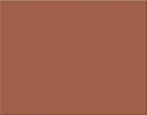 Pacon Railroad Board 4-ply 22"x28" Brown