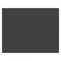 Pacon Railroad Bristol Board 4-ply 22"x28" Black