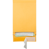 Quality Park&reg; Redi-Strip&trade; Expansion Envelopes 10"x13" 25/pkg