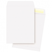 Supremex Envelopes 6-1/2"x9-1/2" 100/pkg