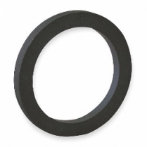 Gasket- 2in Quick Coupler