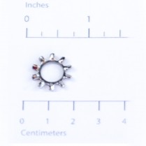 Washer- 1/4 Star Stnls