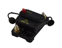 Circuit Breaker- 100 Amp