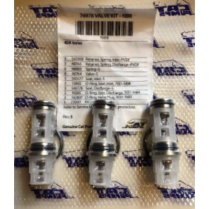 Kit &ndash; Valves CAT Pump 4DX